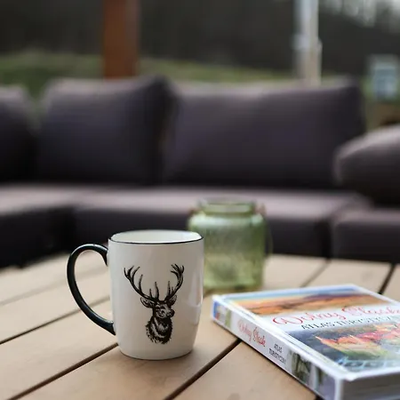 Jeleniówka Z Sauną I Podgrzewaną Balią Z Jacuzzi *